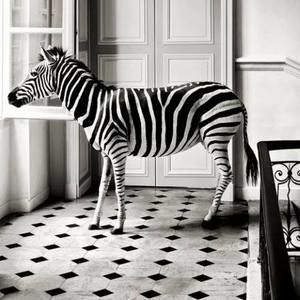 Meet your Posher, Jilly